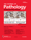 JOURNAL OF PATHOLOGY封面